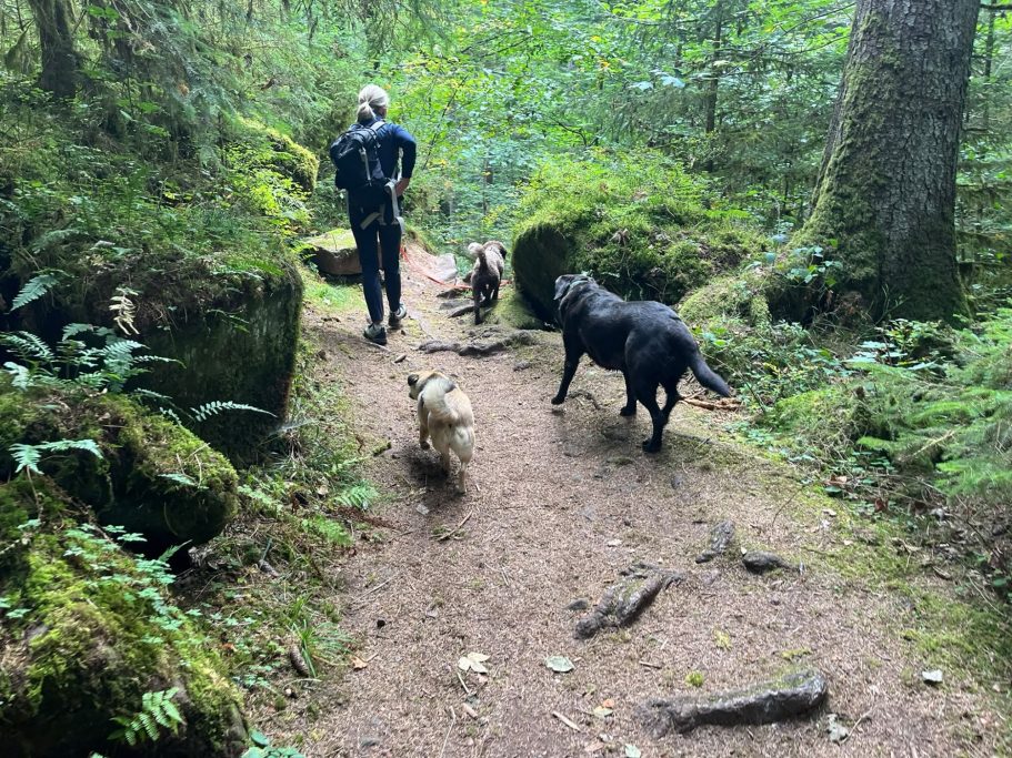 Unterwegs mit Hund im Rötelbachtal