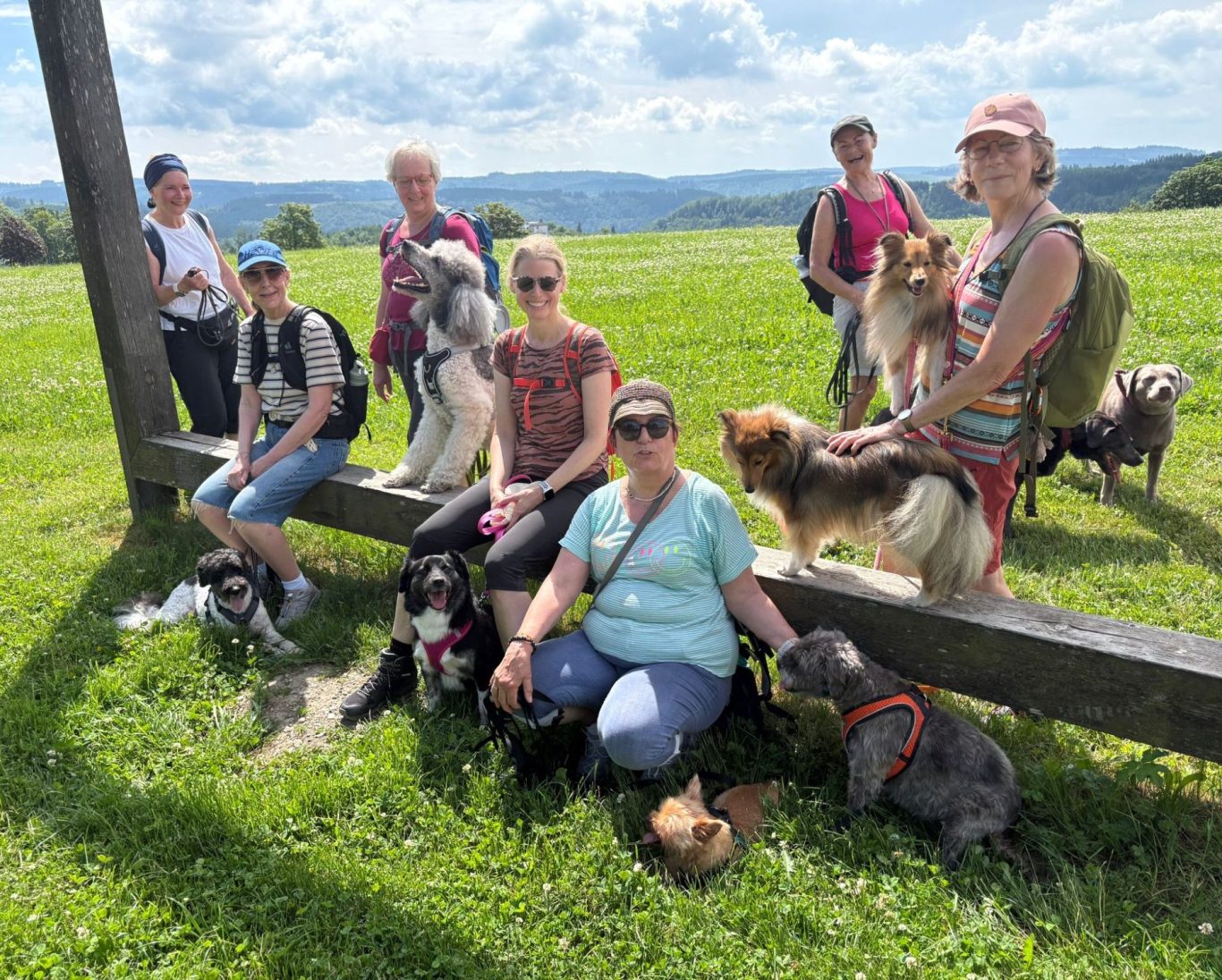Hundewandergruppe  im Sauerland
