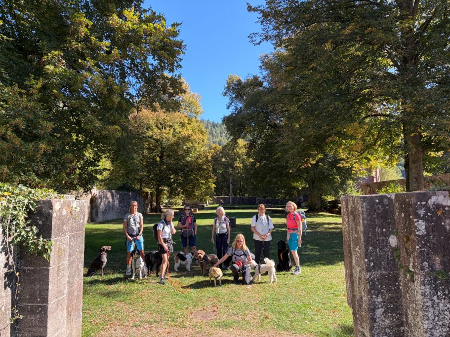 Besuch im Kloster Hirsau mit unseren Hunden