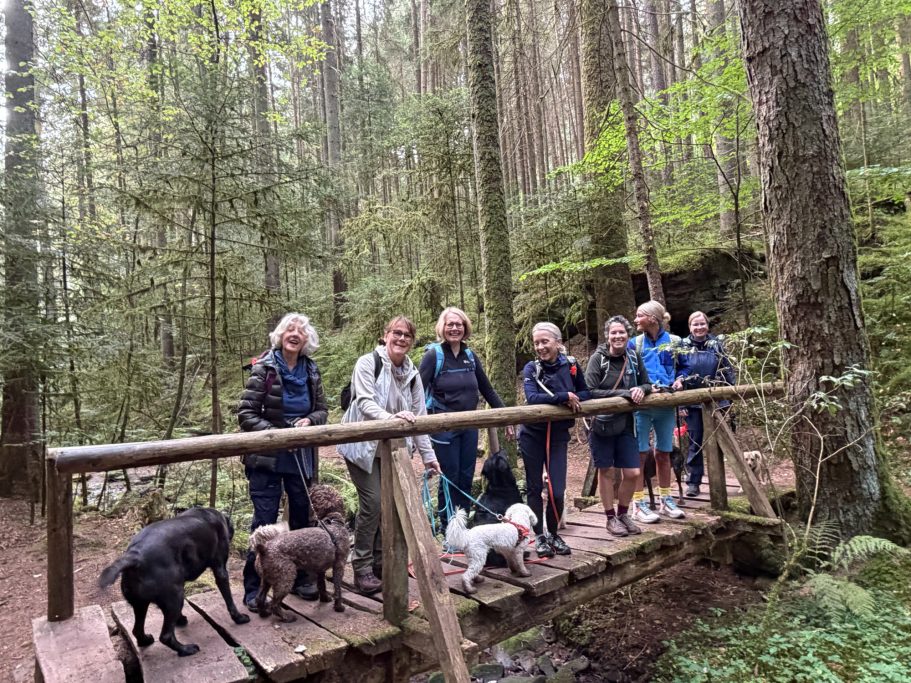 Wandergruppe im Rötelbachtal