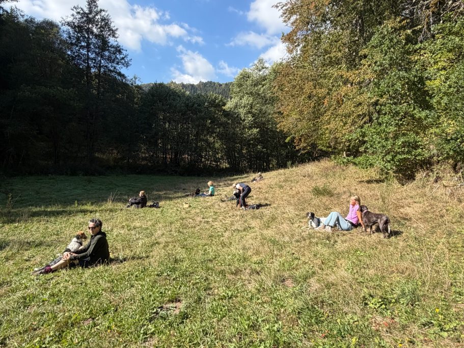 Mittagspause mit den Hunden auf der Wiese