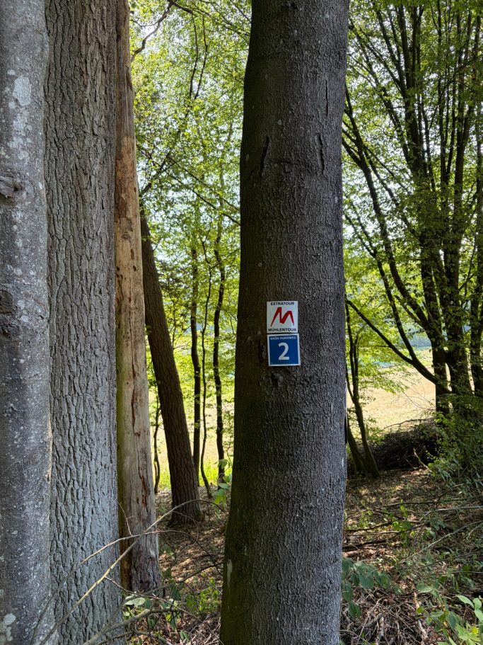 Wanderweg Mühlentour Wanderwegweiser Mühlentour